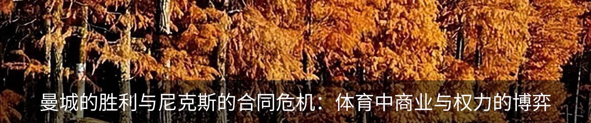 新闻中心